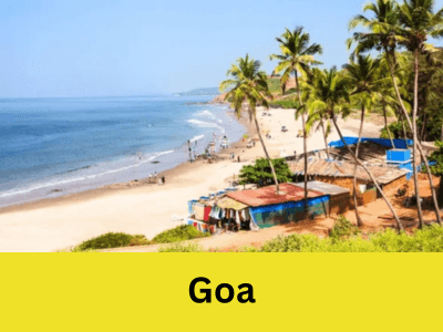 goa opt